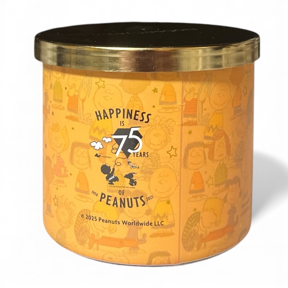 Goose Creek X Peanuts 75 Years The Great Pumpkin 14.5 oz 3-wick Soy Candle - Picture 2 of 4